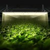 us%2FLZBZWSZ320W23DGH5V2%2Fgoods img v5%2Fgrow light m100 1.12