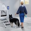 us%2FBXGCWYG50YKMK7QE3V0%2Fgoods img v4%2Fpet grooming table m100 1.12