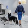 us%2FBXGCWYG62YKMNP7VQV0%2Fgoods img v4%2Fpet grooming table m100 1.12