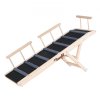 us%2FCWAQPDMZHSZDSADDMV0%2Fgoods img v1%2Fpet safety ramp m100 10