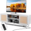 us%2FTBDSJ66INCHEZM914V2%2Fgoods img v1%2Frattan tv stand m100 1.2