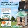 us%2FDSXTDWNQWZ1KP23M5Y3%2Fgoods img v2%2Fsmart bird feeder f5