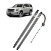 us%2FDDZCG2JZCDLY72GI9V9%2Fgoods img v1%2Ftailgate lift support m100 1.2