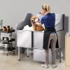 us%2FBXGCWYG50CPDU6PVUV0%2Fgoods img v2%2Fpet grooming table m100 1.12