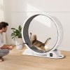 us%2FZNMPBJABSBS45TGJAY3%2Fgoods img v1%2Fcat exercise wheel m100 1.12