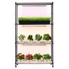 us%2FZWPYJWFJGN35G5QPE001V2%2Fgoods img v1%2Fplant shelf with grow light m100 1.2