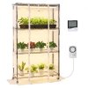 us%2FZWPYJWSGN354NJJQQ001V2%2Fgoods img v1%2Fplant shelf with grow light m100 1.2