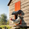 us%2FJSKMQCSSKGDCNGEKL001V9%2Fgoods img v1%2Fchicken coop door opener m100 1.12