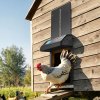 us%2FJSKMQHSSKGDCAG9SN001V9%2Fgoods img v1%2Fchicken coop door opener m100 1.12