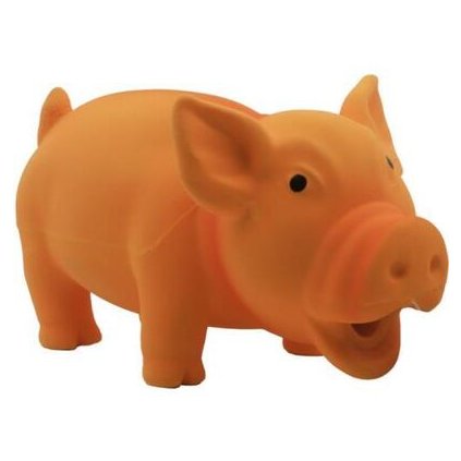 Tatrapet prase pískací