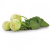 cz pim 472151001001 00
