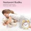 Nastavenie Budíka
