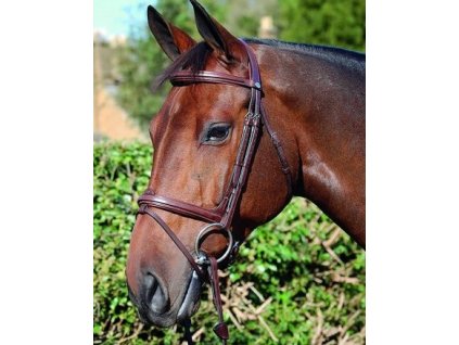 b111;bridon-muserolle-combinee;bridon-muserolle-combinee.jpg1;bridon-muserolle-combinee.jpg2;bridon-muserolle-combinee.jpg3