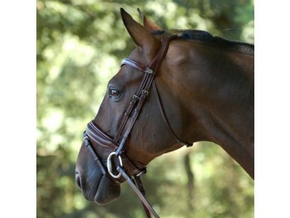 b144m;bridon-muserolle-combinee-moyenne-pull-back;bridon-muserolle-combinee-moyenne-pull-back.jpg1