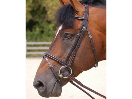 b164;bridon-classic-muserolle-combinee-;bridon-classic-muserolle-combinee-.jpg164;bridon-classic-muserolle-combinee-.jpg1644