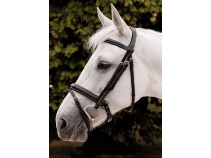 Uzdečka Dy'on “Classic” large crank noseband bridle B168 (barva černá, velikost cob)