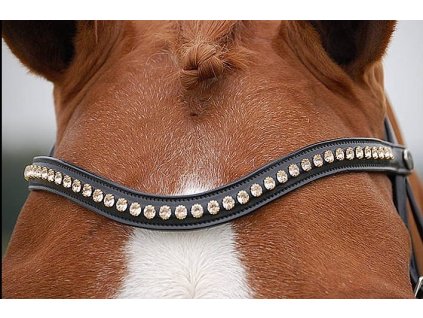 frontal-dressage-pink