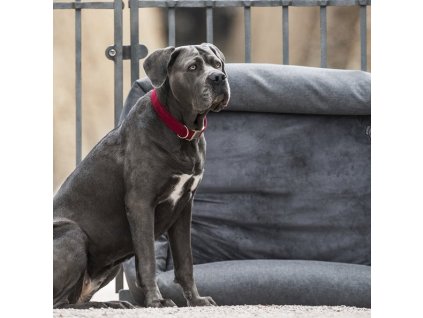 c-a929523bbdd099ba1a676b6771a9e673-article-photobook-m (2)