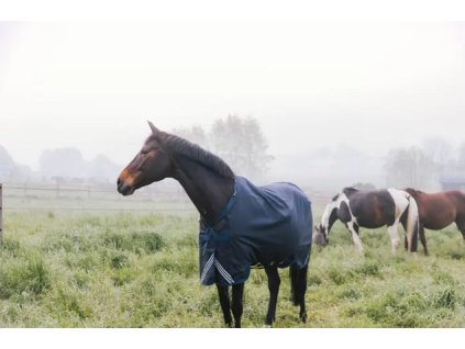 Screenshot 2024 10 19 at 11 08 36 Turnout rug all weather waterproof comfort navy 125 5'9 0 g 0g 125 cm Navy 52191 03 125 Kentucky