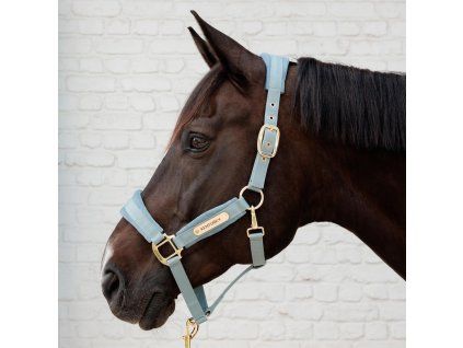 ohlavka velvet light blue
