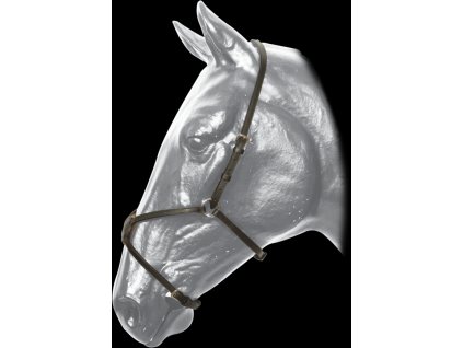 mexicky nanosnik kentaur