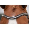 frontal-dressage-pink