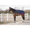equitheme-tyrex-1200-d-exercise-sheet-polar-fleece-lined