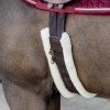 kentucky brown natural