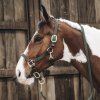 Ohlávka Kentucky Plaited halter 42516 (barva deep olive, velikost full)