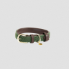 kentucky plaited green