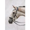 hackamore