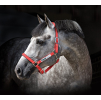 horseware safe field red