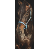 horseware safe field baby blue