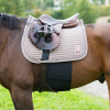 horze belly guard