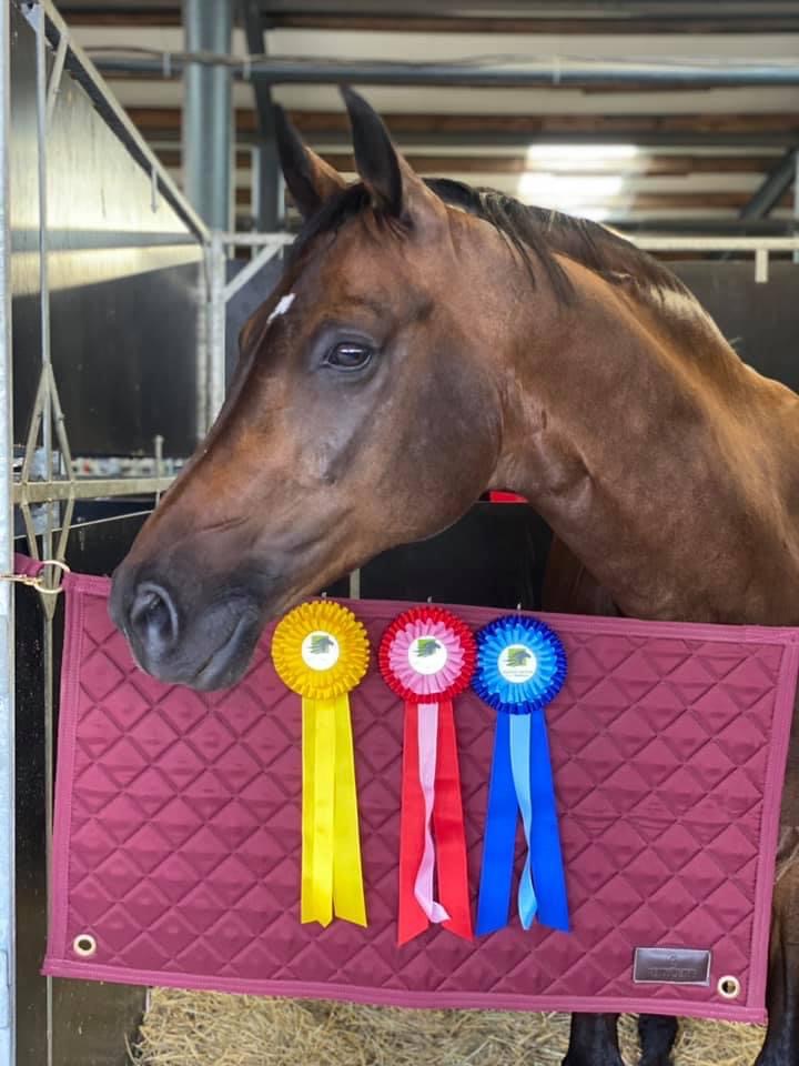 Český pohár v drezuře Zduchovice 22.07.2021 - 25.07.2021