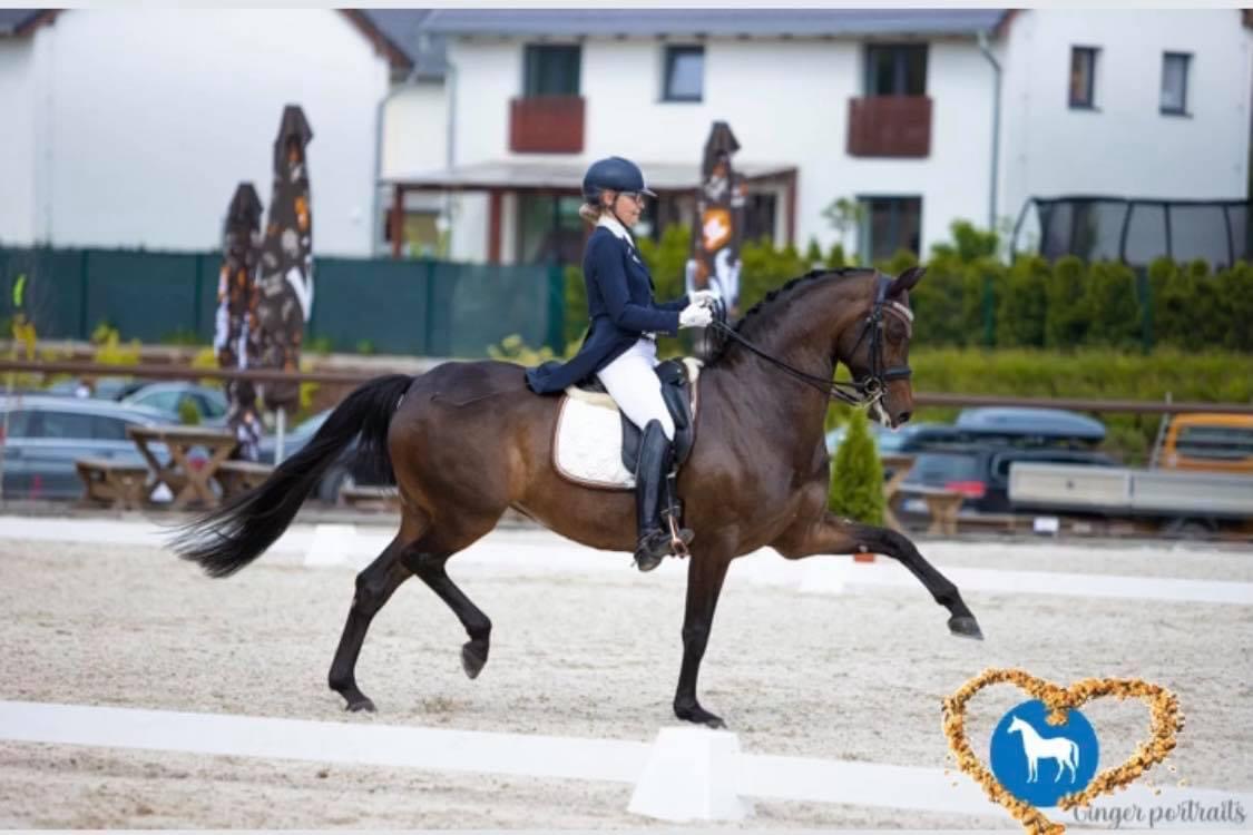 Národní Drezurní pohár Královice 10.07.2021