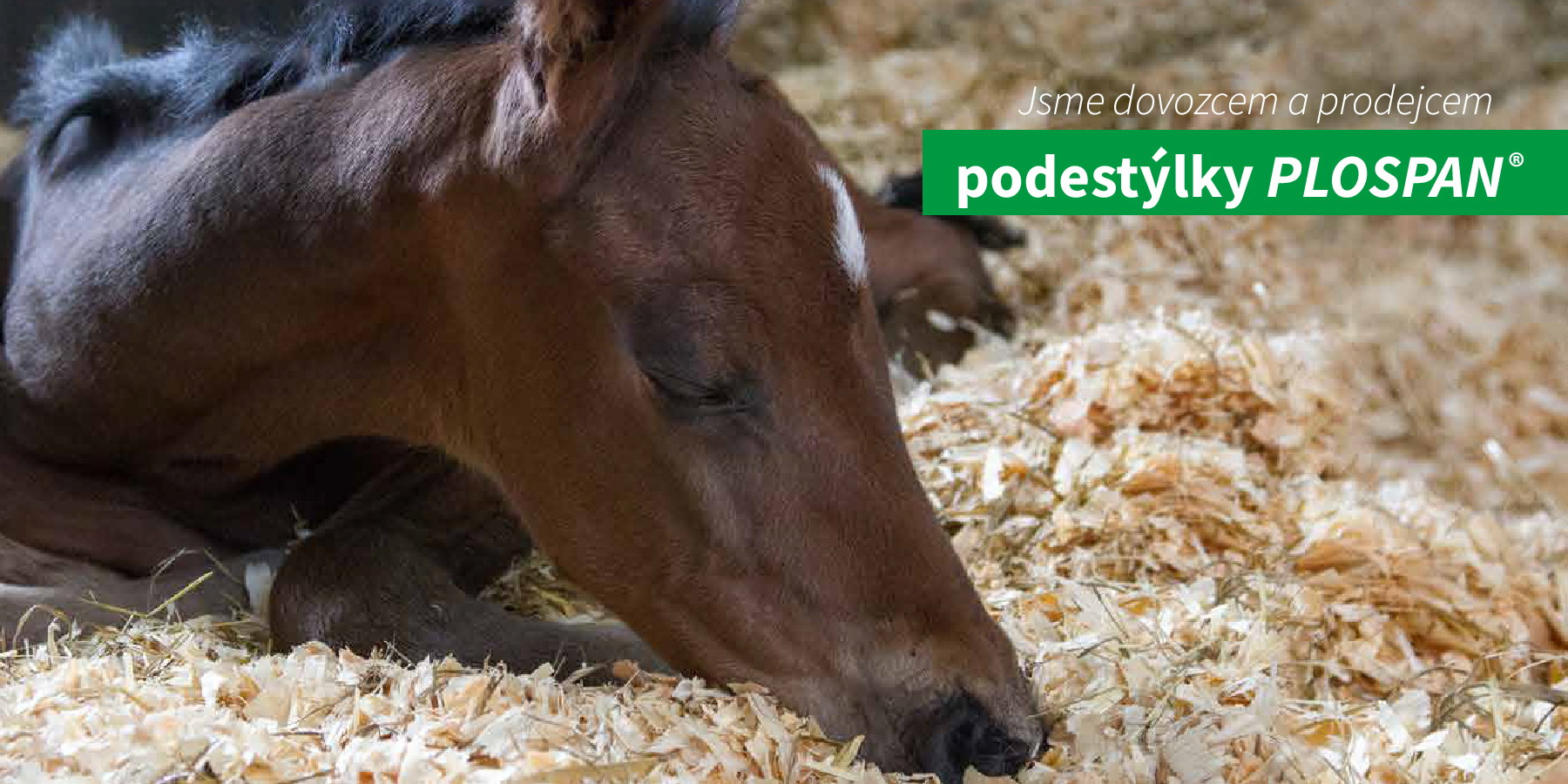 Podestýlka pro koně Plospan