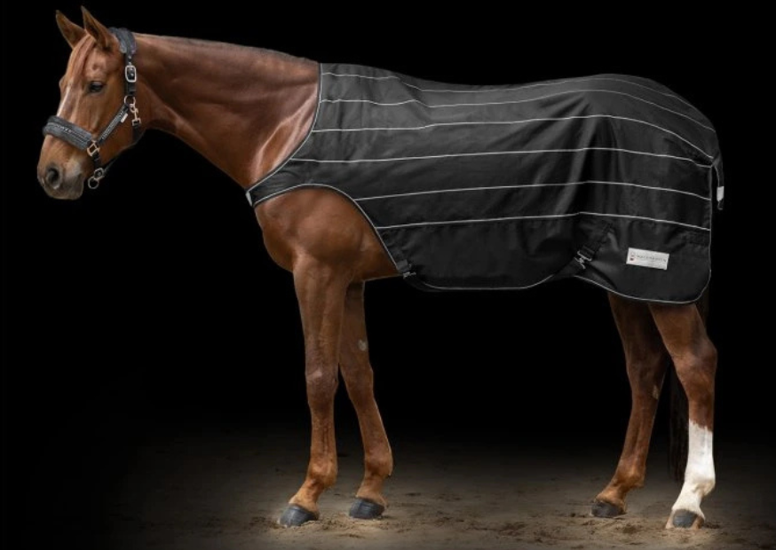 Reflexní vybavení pro jezdce a koně