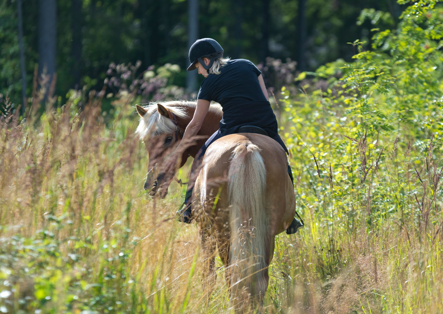 Jak vybrat jezdecké vybavení