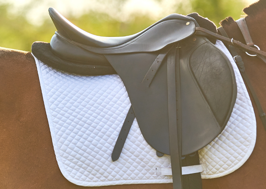 Podsedlové dečky pro koně