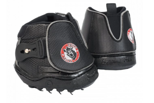 Boty pro koně – moderní pomocník pro zdravá kopyta