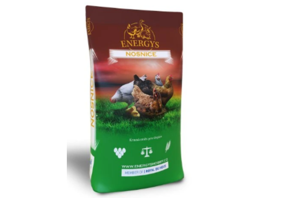 Krmení pro slepice — jak vybrat správné krmivo