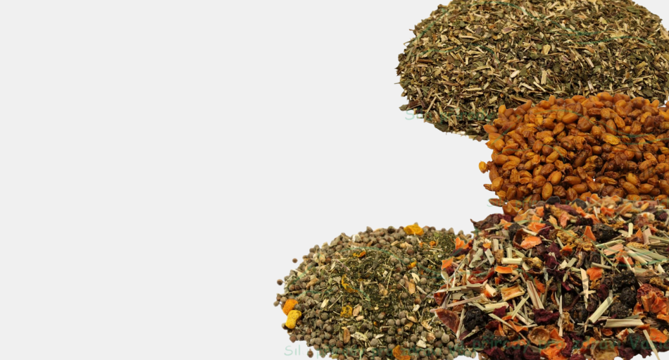 Objevte sílu bylinek