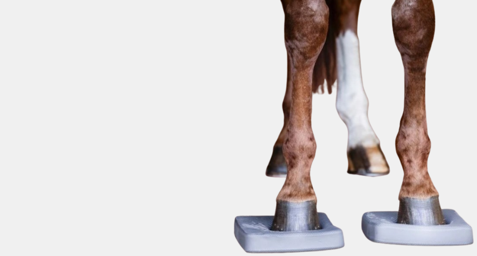 Balanční podložky pro koně