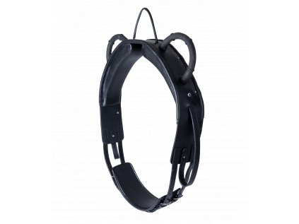 Waldhausen Lonžovací obřišník s madly