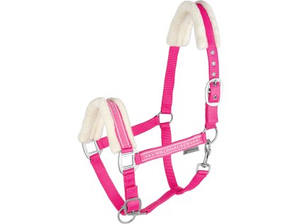 5047398 PON 10 1920x1920