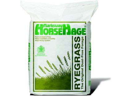 horsehageryegrass