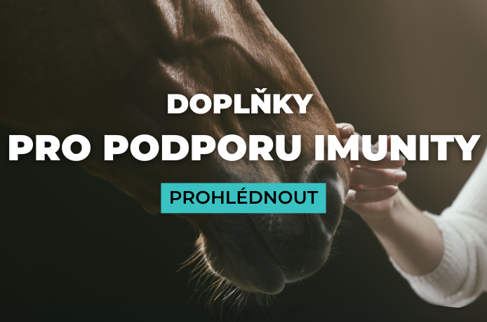Poukazy