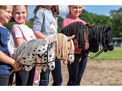 hobby horse