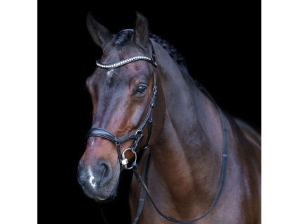 c3fcc38451a5027bfde18ce779fb60415ab0cf5a 1201093502 9000 mfront